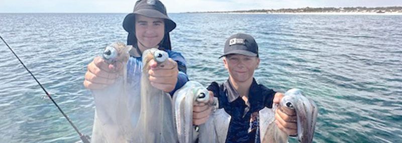 More access to King George whiting but... Squid off limits around YP post image