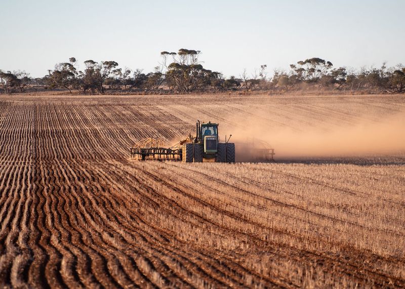 Season well underway... Early rain sparks jump on sowing post image