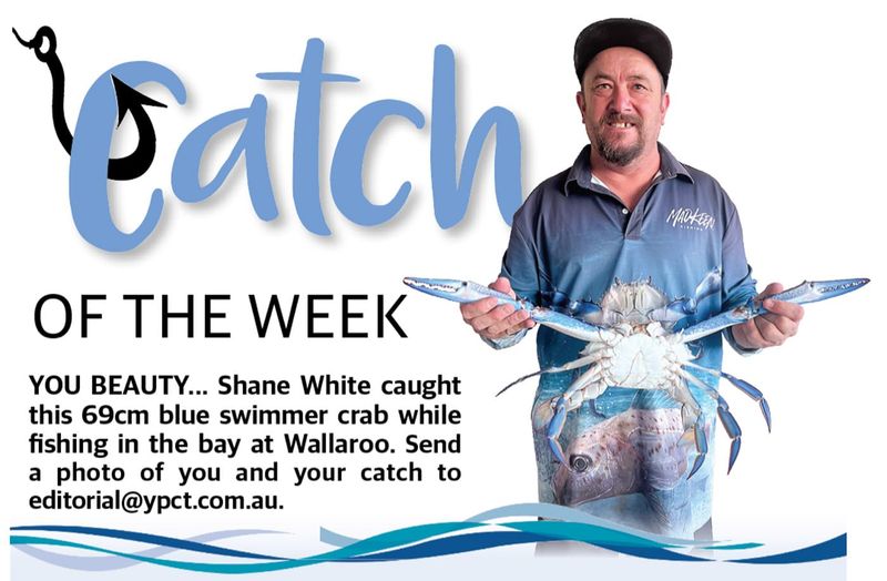Catch of the Week post image
