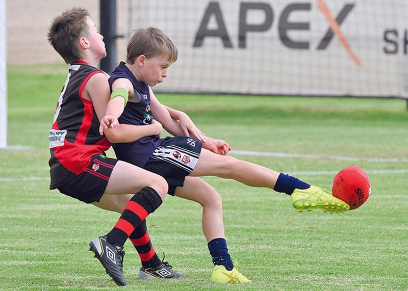 YPFL: Bloods too good for Cougars post image