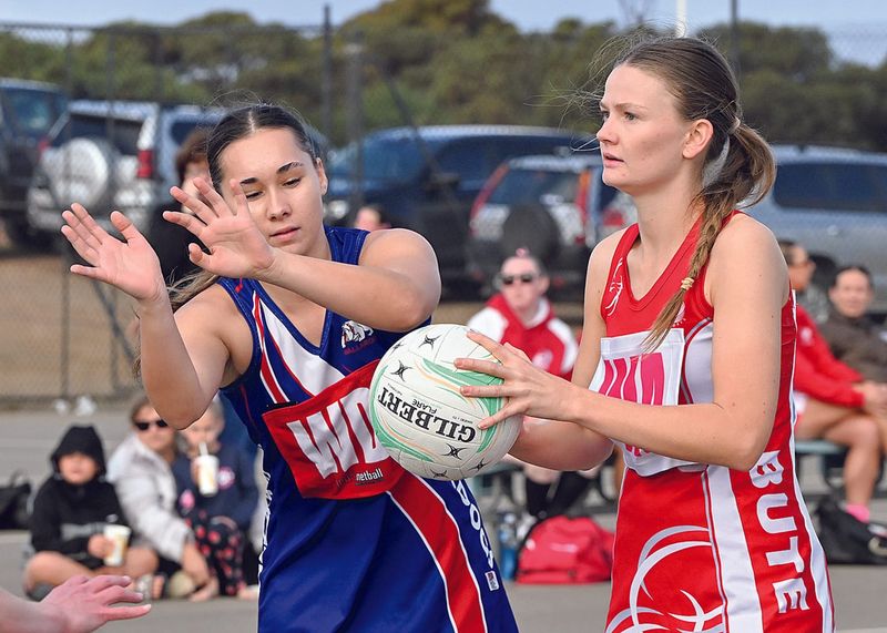 YP netball scores and reports post image