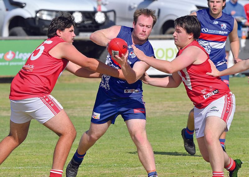 YPFL: Dogs break drought in Pink Round thriller post image