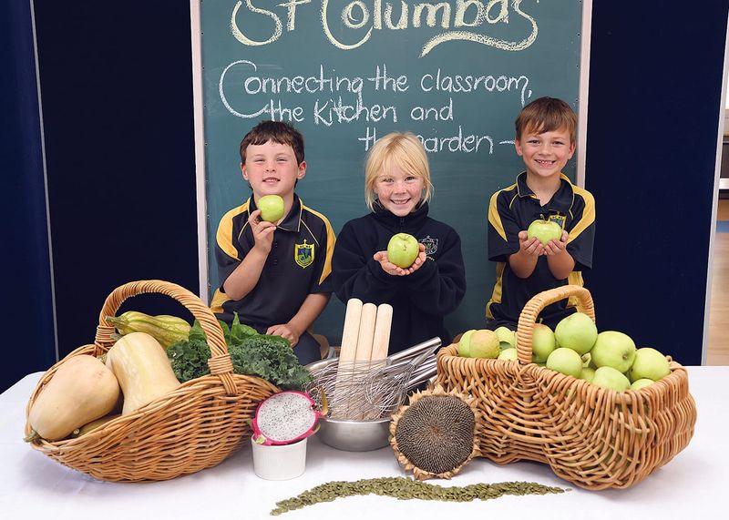 Knowledge grows in school garden post image