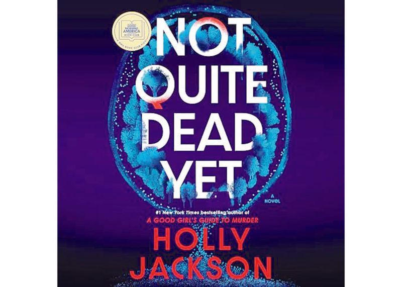 Novel take on murder mystery post image