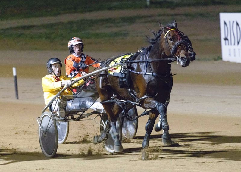 YP harness racing news post image