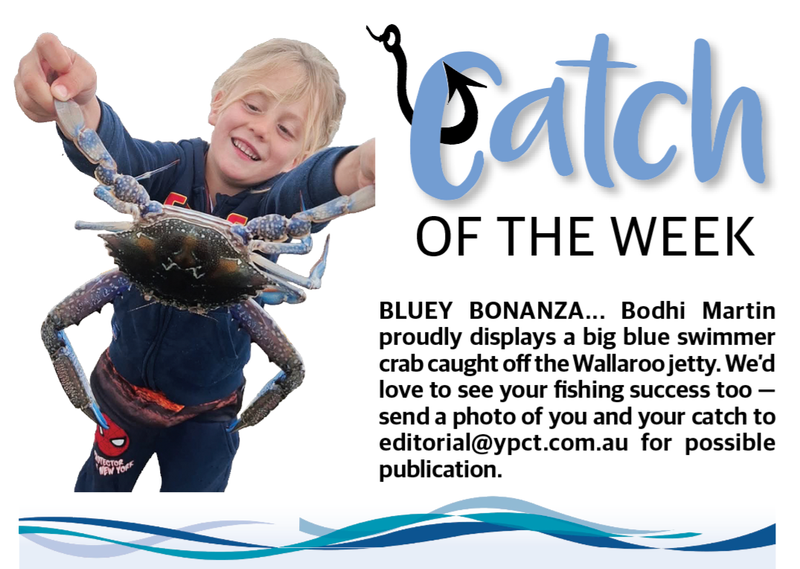 Catch of the Week post image
