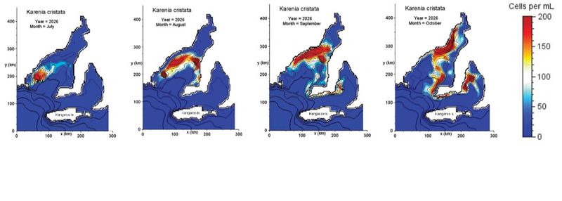 Cold water  bloom... GULFS AT RISK post image