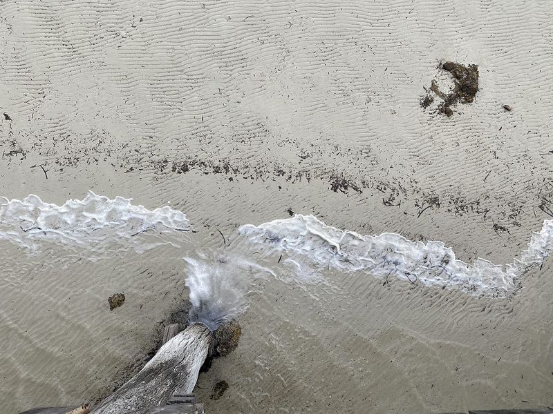 Researchers urge stronger algal bloom preparedness post image