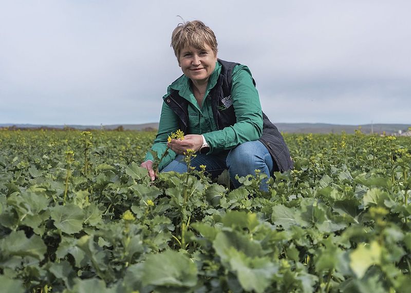GRDC on a mission for nitrogen security post image