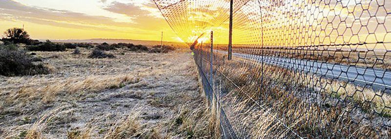 BACK TO BUSH - Study says farmland may need to make way for nature post image