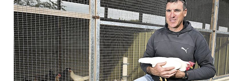Bird flu crosses species barrier post image