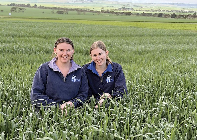 Gates open for 2027 Hart grains research internship post image