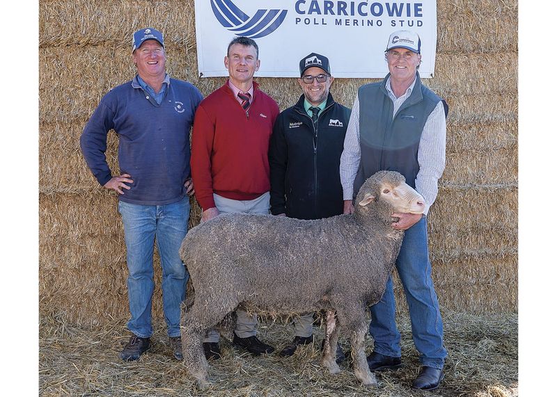 Confidence lifts at Carricowie post image