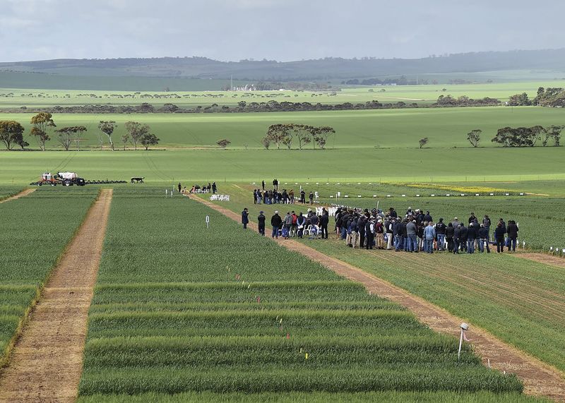All set for the Hart Field Day post image