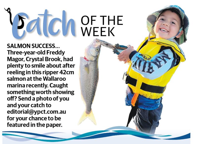 Catch of the Week post image