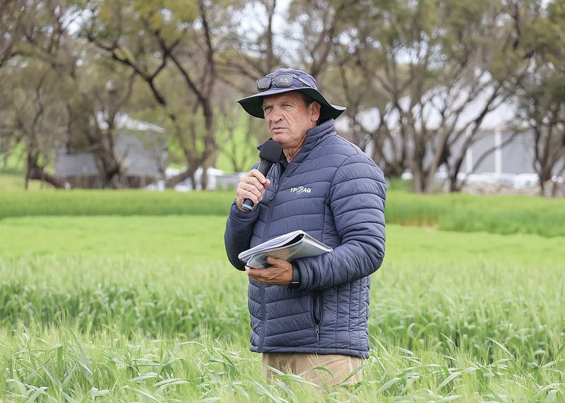 Trials focus on varieties, weeds  and disease management post image