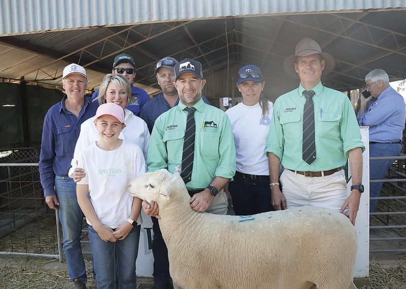 Quality brings buyers to Jandebrey post image