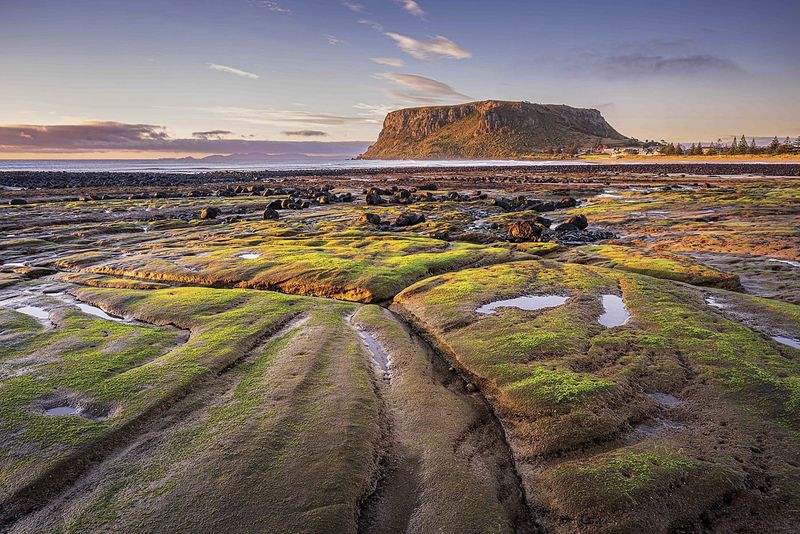 Local photography talent shines at SAPF Awards post image