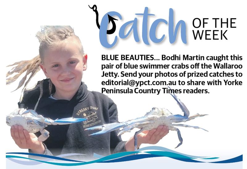 Catch of the Week post image