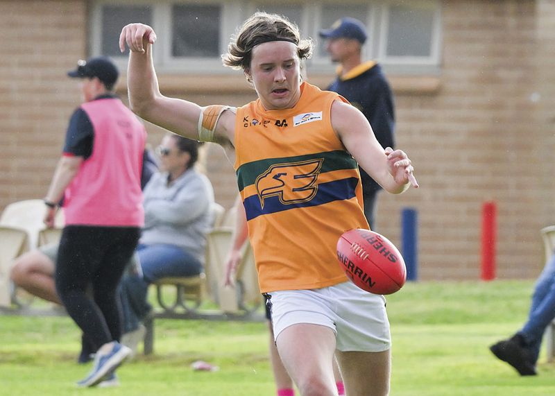 Hoile to coach Southern Eagles post image