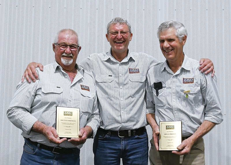 YP Field Days members honoured for life post image