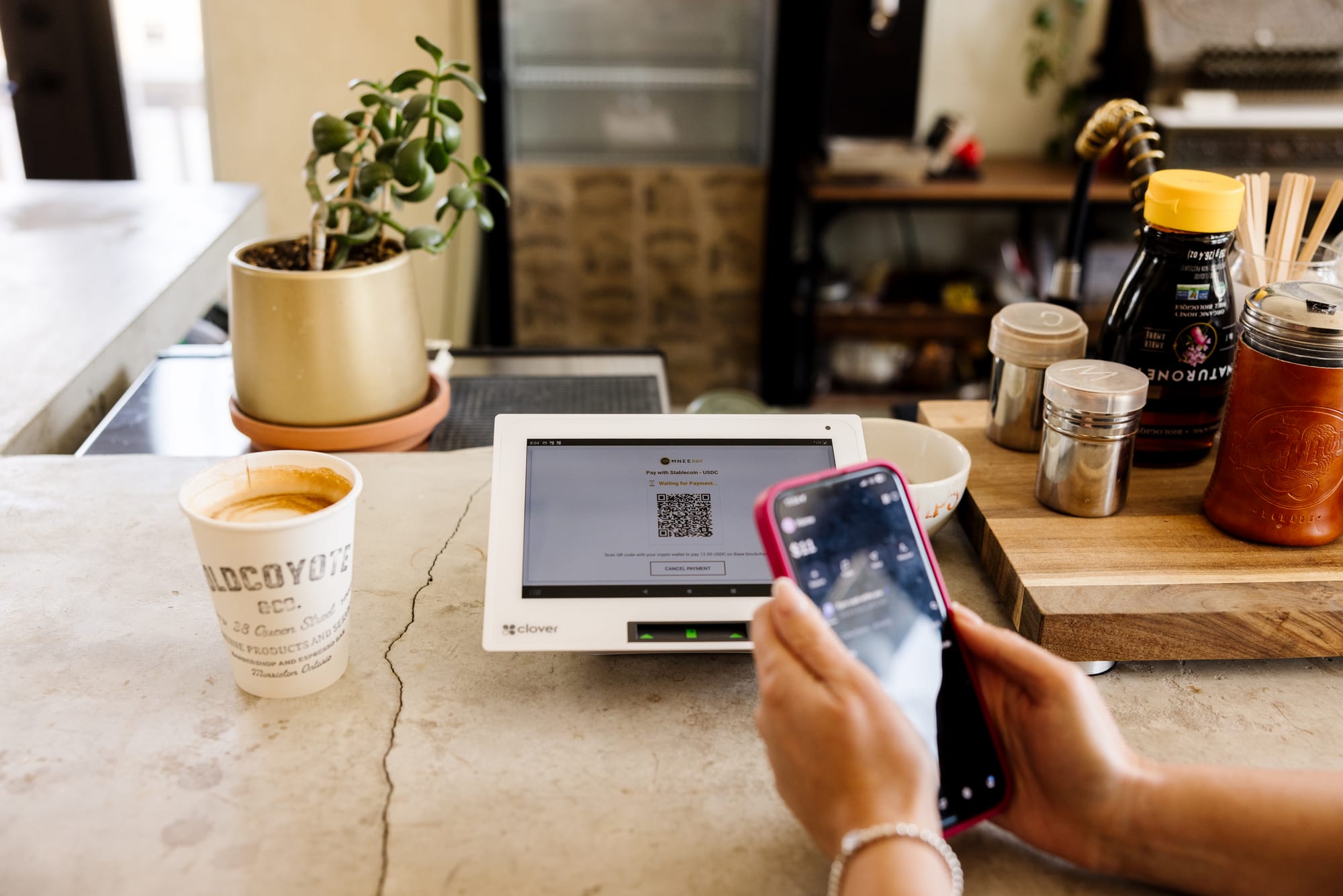A customer scanning a QR code at a store register to make a stablecoin payment.AAA