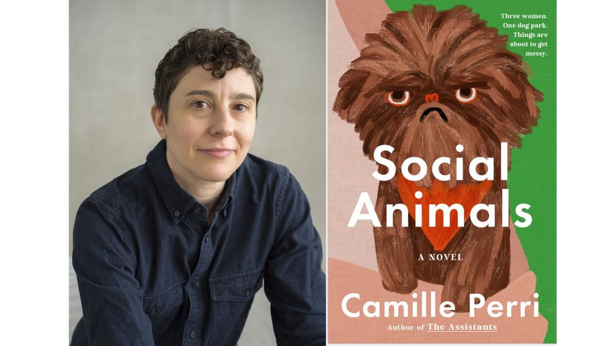 In Conversation: Author Camille Perri