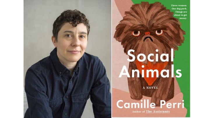 In Conversation: Author Camille Perri
