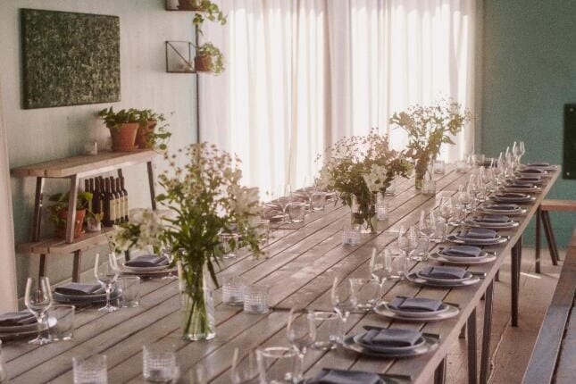 Urban oase og kreativt mødelokale fyldt med planter og god energi.