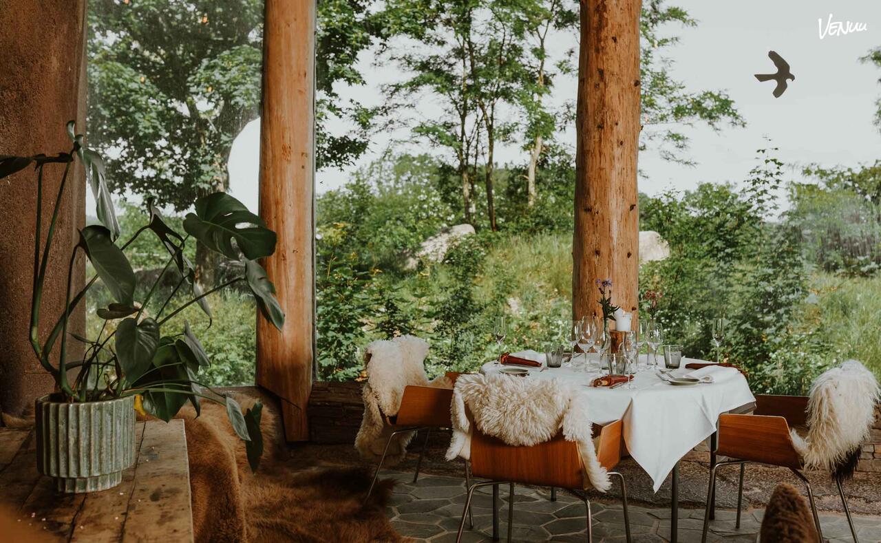 Unikt mødelokale med safari-stemning og dyreliv som baggrund