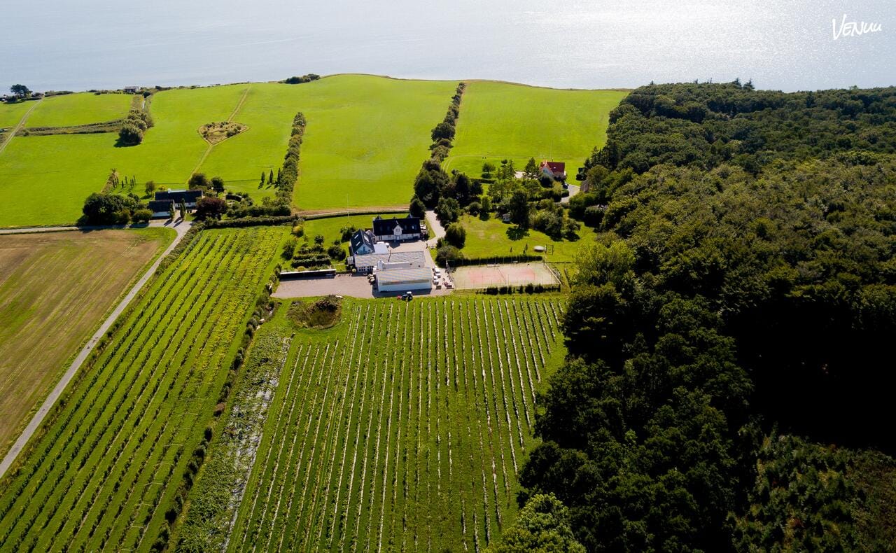 Vesterhave Vingaard – Søpavillonen – naturskønt bryllupslokale omgivet af vinmarker og vand.