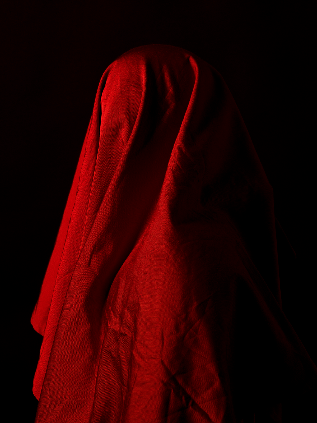 A photo entitled 'Profile': a profile of someone with a 5x4 camera's darkcloth draped over their head, the red underside on top, gleaming under a studio light, against a black background.