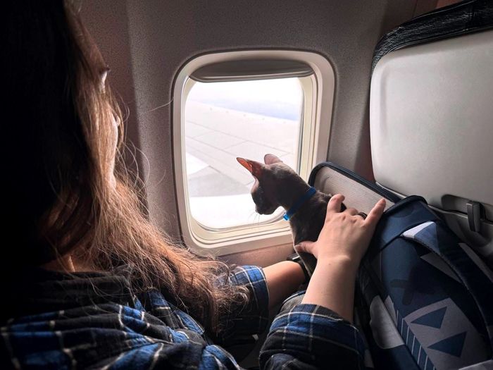 Relocating with Mayflower: Employee Stories