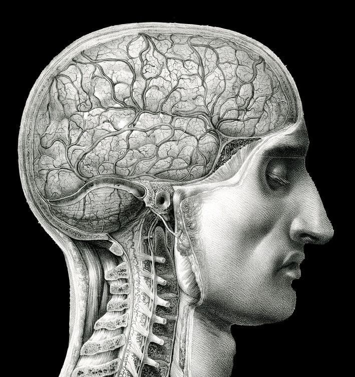 Fractured Lens: Critical Thinking Is Under Attack