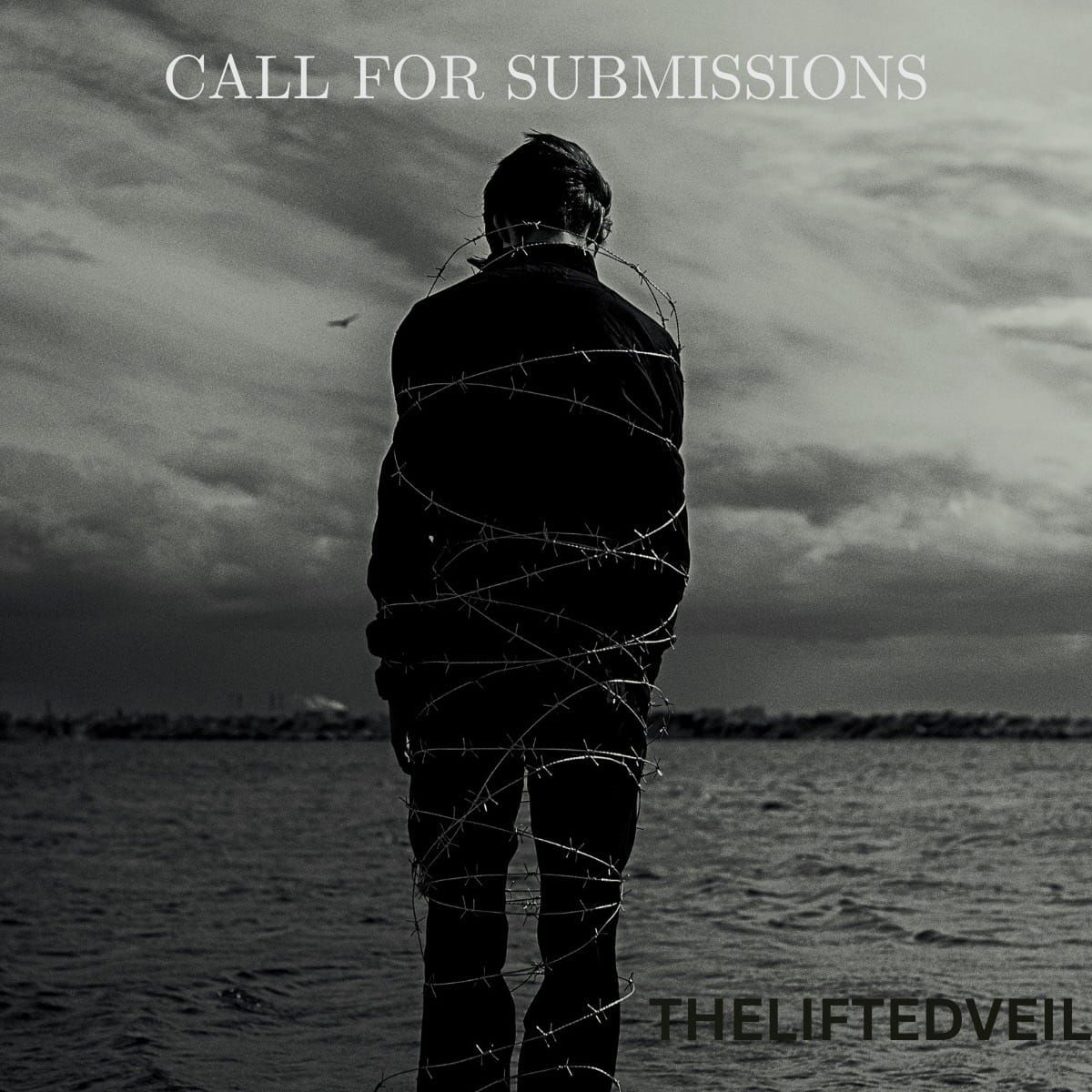 CALL FOR SUBMISSIONS — THELIFTEDVEIL │Global Creative Media Institution