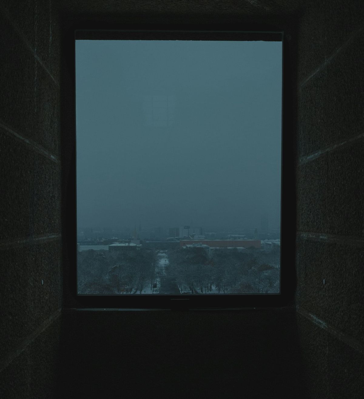 A Message on Survival, Loss, and Hope