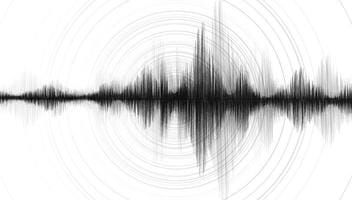 The Hermeneutics Of The Vibration
