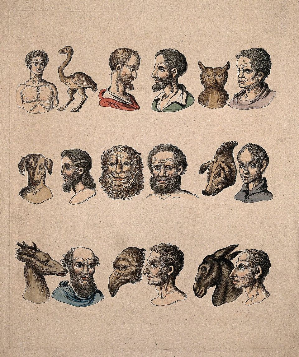 Is Physiognomy Really A Pseudoscience?
