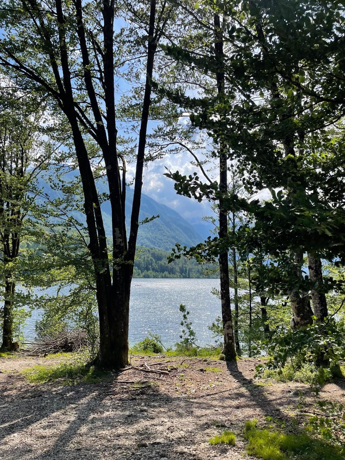 Traumplatz and the never ending joy of pigeons in top hats