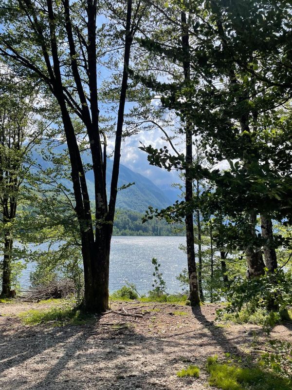 Traumplatz and the never ending joy of pigeons in top hats