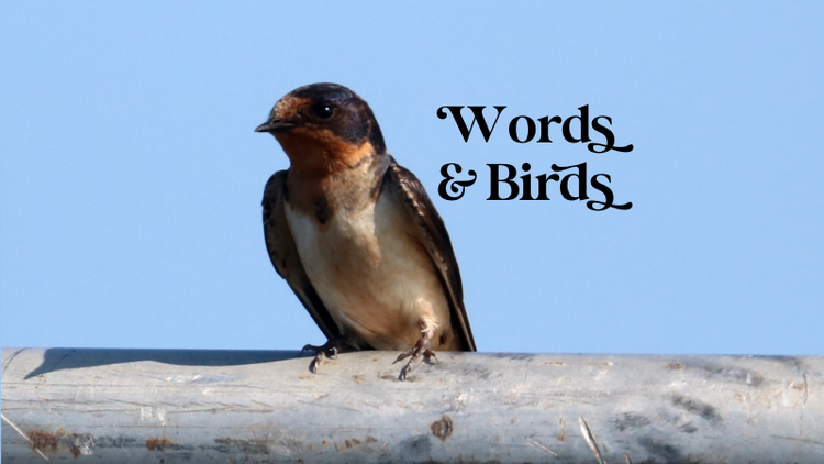 A spiffy calendar plus free audiobooks