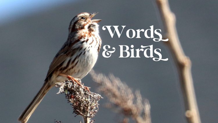 Hot chocolate and stuff