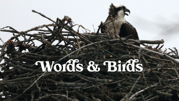 Maple syrup crimes and stickers