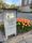 How to vote on the lakeshore this November: dates, early voting sites and what is on the ballot