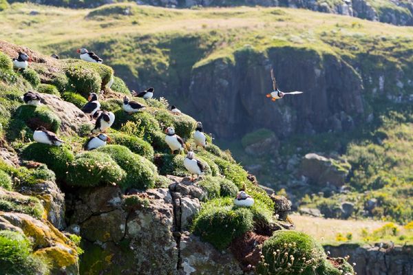 Enriching commons by practicing with money