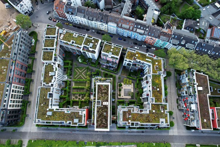 Cooler Cities, Greener Spaces: How Thoughtful Site Design Makes Urban Living More Livable