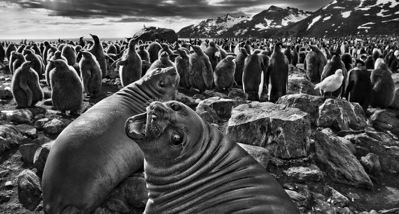 One of the World’s Most Celebrated Photojournalists Takes Us on an Extraordinary Journey Across Our Planet to Show that We All Co-Exist