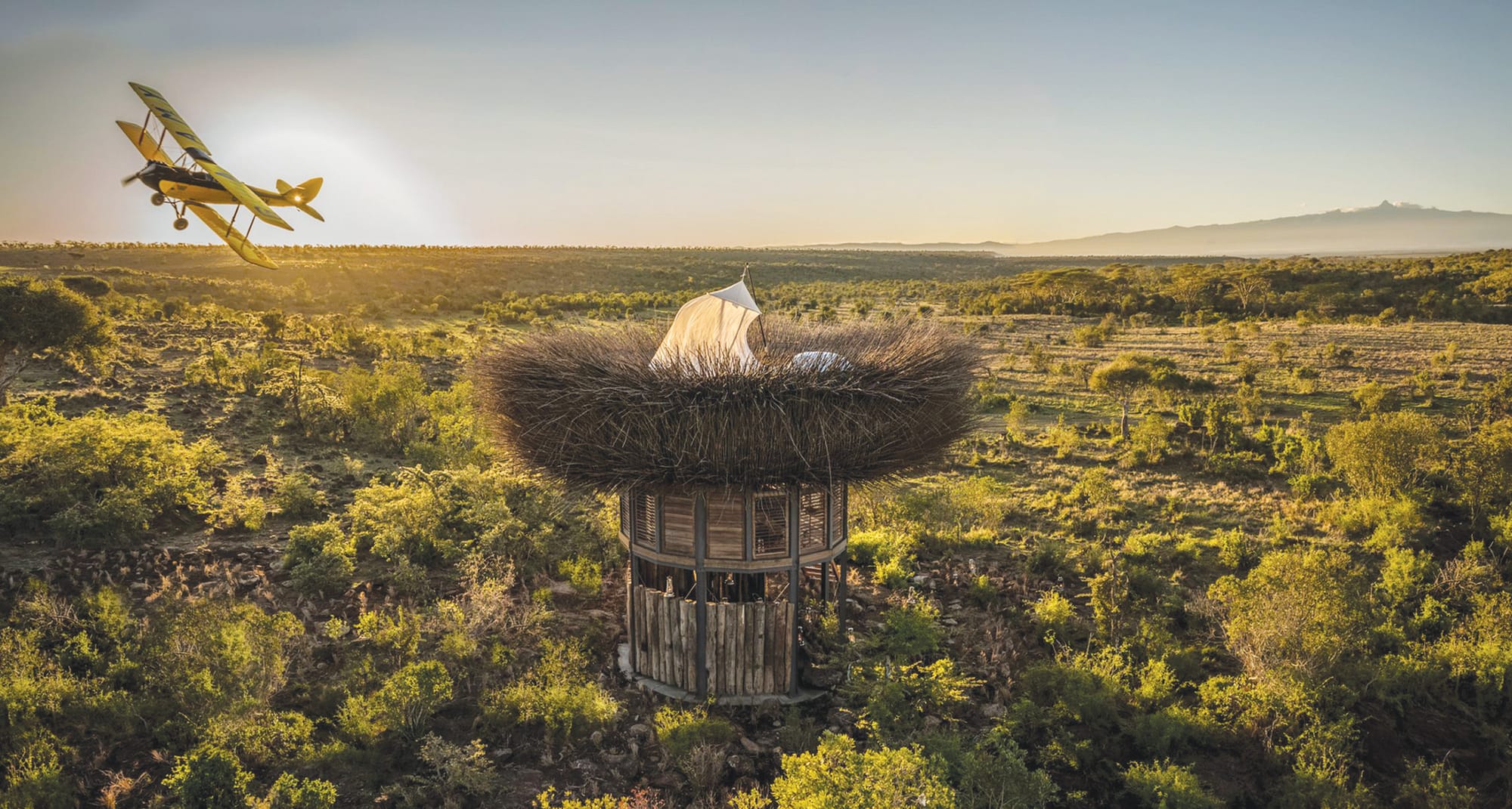 Top of the World: Segera’s Bird Nest in Kenya is a Luxurious 1,200 USD-a-night Avian-Style Lodge For Two