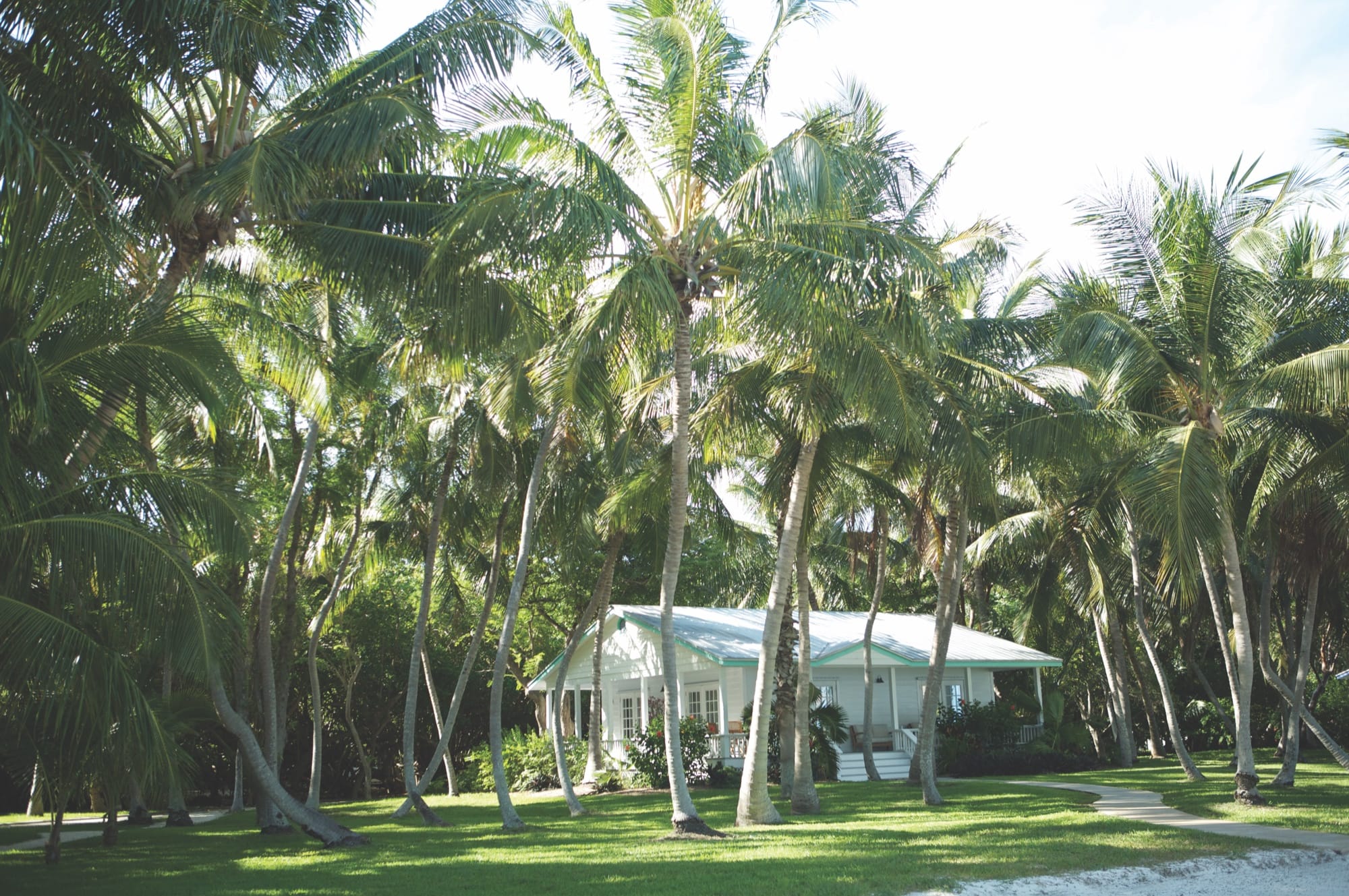 The Sunshine State: Discovering the Sunsets and Allure of Islamorada