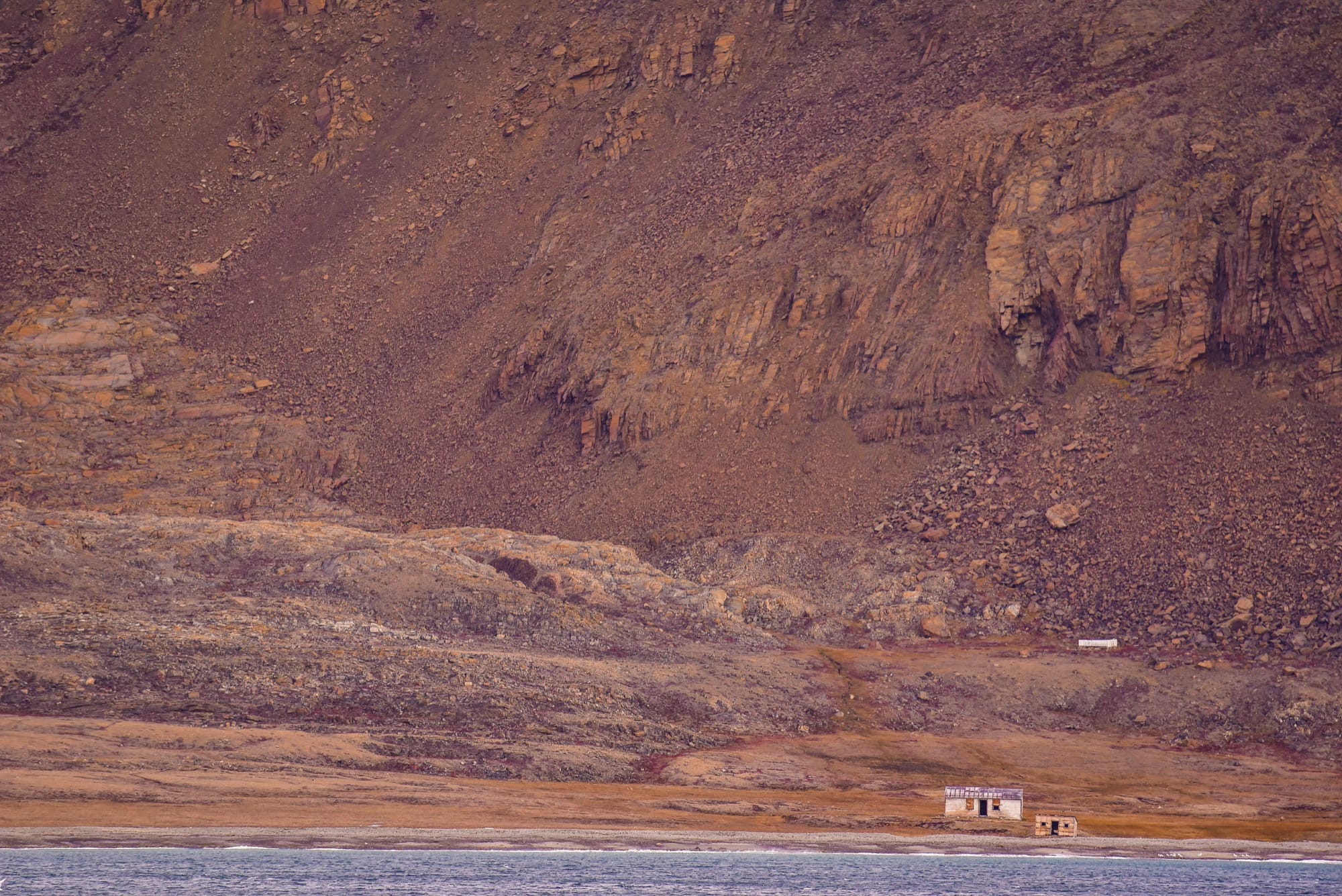 Breaking the Ice: A Close Encounter with a Curious Arctic Polar Bear